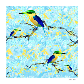 Cool kingfishers