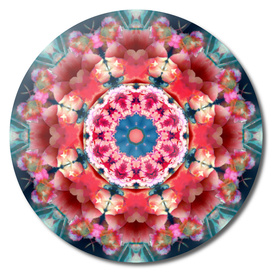 Flower Mandala 1