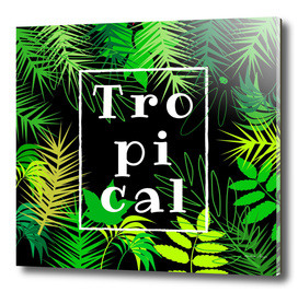 tropical
