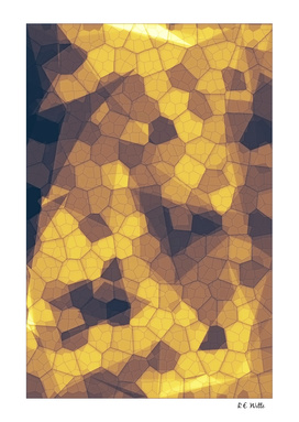 Honeycomb Mosaic