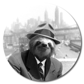 Sloth in New York