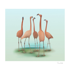 Flamingo Mingle