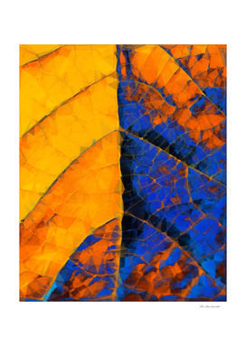 closeup leaf texture geometric abstract in blue yellow