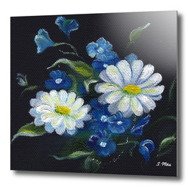 Daisy Flowers - White Flowers