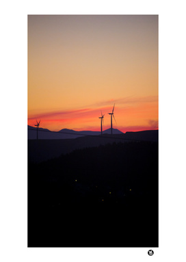 Evening Windmills