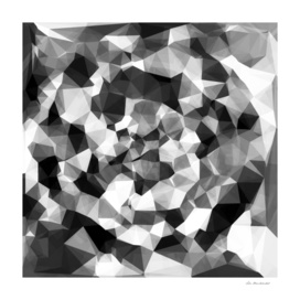 contemporary geometric polygon abstract in black and white