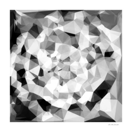 geometric polygon abstract pattern in black and white