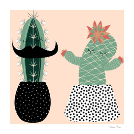 Mrs and Mr succulent