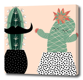 Mrs and Mr succulent