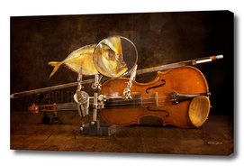 Fish and violin