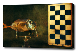Fish and chess