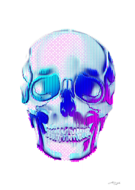 Artistic LXXXIV - Skull / NE