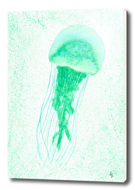 Jellyfish II-v
