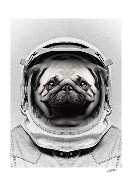 Puggly Pawstrong Astro Dog