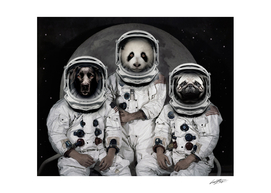 Capricorn 3 - Astronaut Animals group