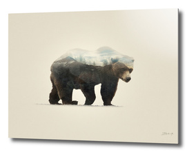 Bear | Double exposure
