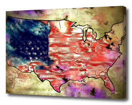 The United States Map - Flag
