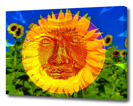 Face of the Sunflower