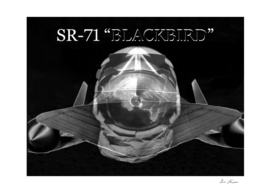 Blackbird Flyer