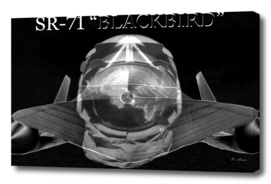 Blackbird Flyer