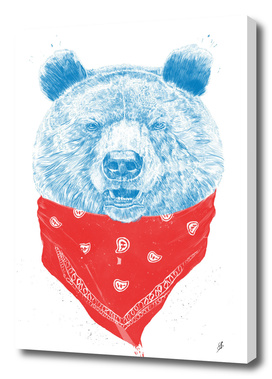 Wild bear (color version)