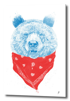 Wild bear (color version)