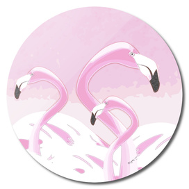 Soft Pink Flamingos Design