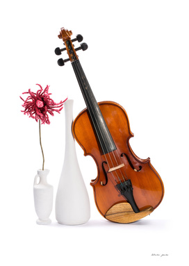 Violin, white vase with a flower