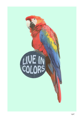 Parrot - Live in colors