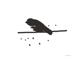 Bird #Black