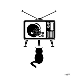 Black Cat Watching TV