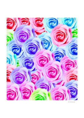 colorful rose background in pink blue purple green
