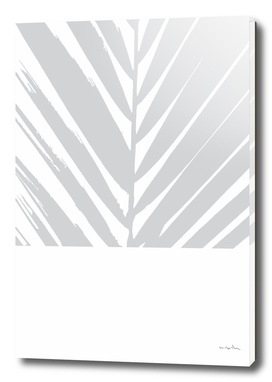 Grey Palm