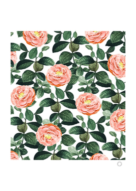 Josephine | Vintage Rose Garden Illustration | Bohemian
