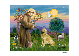 Saint Francis Blesses a Golden Retriever