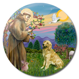 Saint Francis Blesses a Golden Retriever