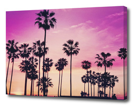 Sunset Palms Purple Tropical Sky