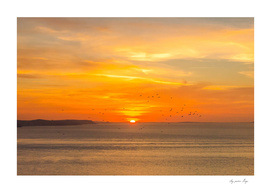 Sunset on the atlantic beach with orange sun and birds