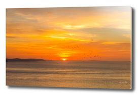 Sunset on the atlantic beach with orange sun and birds