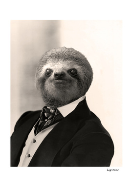 Gentleman Sloth #4