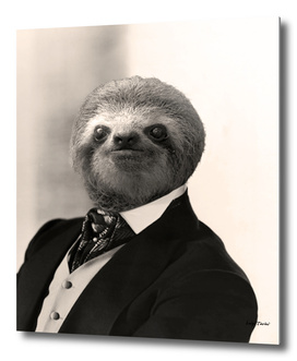 Gentleman Sloth #4