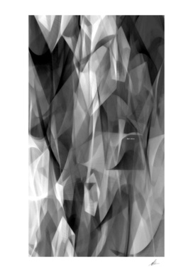 Abstract Black and White Symphony