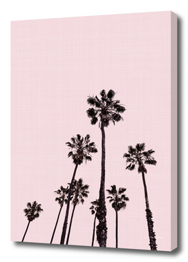 Palm Trees Pink