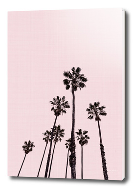 Palm Trees Pink