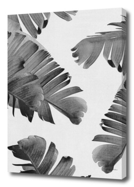 Palm Leaves Monochrome