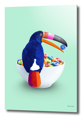 CEREAL TOUCAN