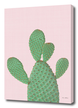 Cactus Pink II