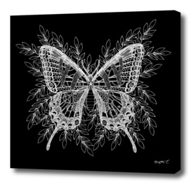 Black and White Butterfly Design