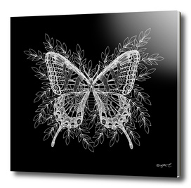 Black and White Butterfly Design
