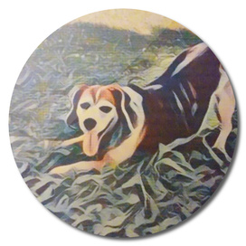 Stretching Beagle By Suzanne Tineo